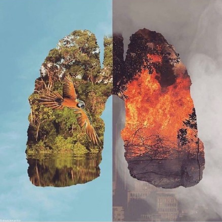 行至半山不停步，守護(hù)祖國的綠水青山
